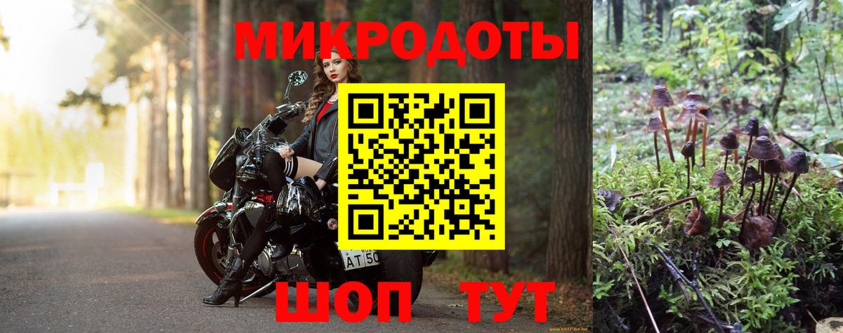 Саров  Псилоцибиновые грибы Psilocybine cubensis  Псилоцибиновые грибы прущие грибы  Вход с VPN 