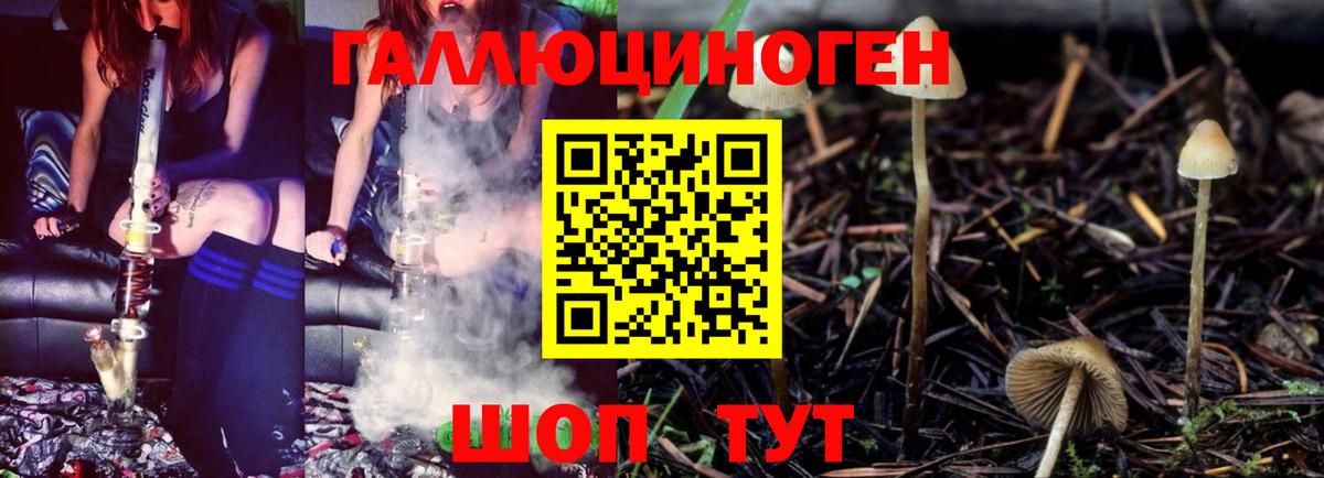 Псилоцибиновые грибы мухоморы Саров